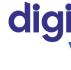 Logo Digital Valley